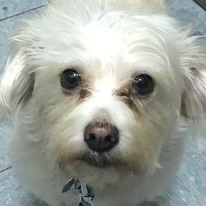 Meet your Posher, Melanie